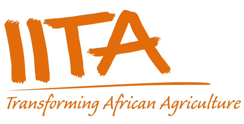IITA Logo