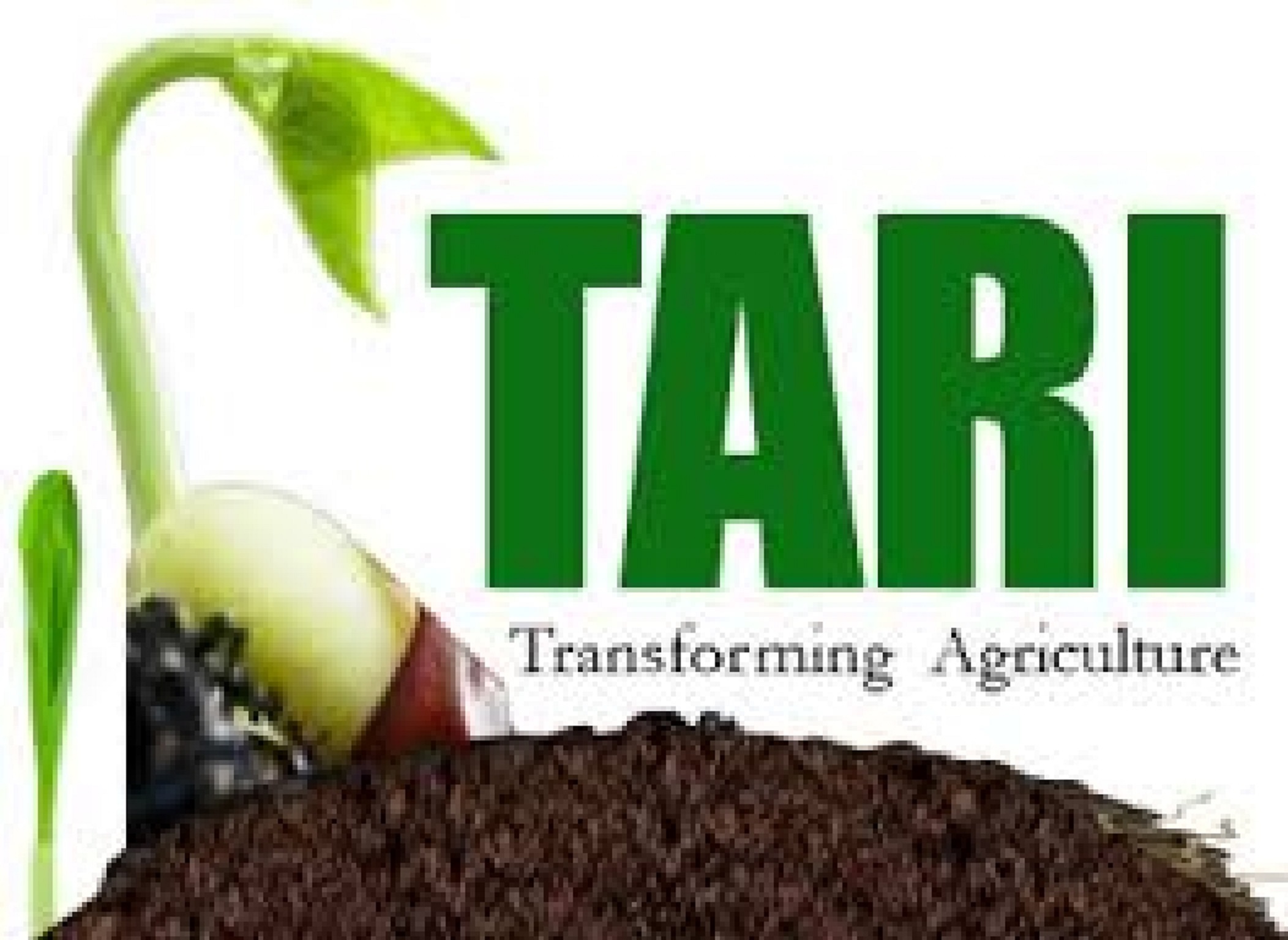 TARI Logo